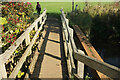 SY4889 : Footbridge over the Bride by Derek Harper