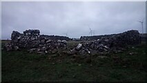  : Big Old Sheepfold near Dykefoot by Ian Dodds