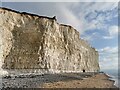 TV5595 : Chalk Cliff at Birling Gap by PAUL FARMER