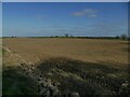 SE3350 : Freshly tilled field north-east of Kirkby Overblow by Stephen Craven