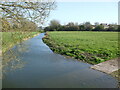 ST3664 : A slipway on the River Banwell by Neil Owen