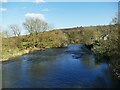 SE1937 : River Aire downstream from Apperley Bridge by Stephen Craven