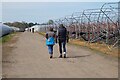 SU8266 : Track and polytunnels, Wokingham Without by Andrew Smith