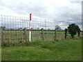 ST8379 : Mesh fence and a gas pipe by Neil Owen