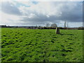 SP0276 : Cofton Common trig point by Richard Law