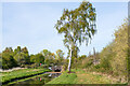 SK9571 : A spur of the Main Drain and some ruins, Swanpool, Lincoln by Oliver Mills