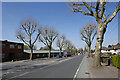 SO9591 : Tipton Road by the Black Country Museum near Dudley by Roger  D Kidd