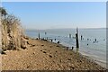 TM1933 : Remains of Palace Quay, Harkstead by Simon Mortimer