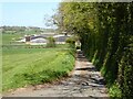 SO6851 : Access road to Stanford Bishop church by Philip Halling