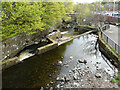 NS5574 : Weir and fish ladder, Milngavie by Richard Sutcliffe