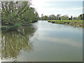 TM3489 : River Waveney looking west from the sluice by Adrian S Pye