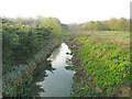 TM1278 : River Waveney, downstream from Rose Lane Bridge by Adrian S Pye