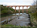 NZ8909 : Larpool Viaduct, near Whitby by Malc McDonald