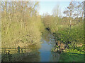 TM1478 : River Waveney upstream from the A140 bridge by Adrian S Pye