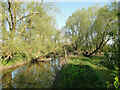 TM1478 : River Waveney in reflective mood by Adrian S Pye