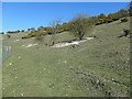 TA0476 : Sheep, chalk and gorse, North Dale by Christine Johnstone