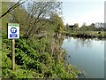 TM2281 : Portage point on the River Waveney by Adrian S Pye