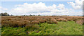 TG3426 : Panorama of South Fen by David Pashley