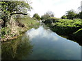 TM3388 : Downstream from the relief channel footbridge by Adrian S Pye