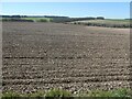 SE9775 : View from Sked Dale Top towards Sked Dale by Christine Johnstone