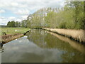 TM3890 : River Waveney from Geldeston Locks footbridge by Adrian S Pye