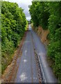 S5110 : Waterford & Suir Valley Railway near Kilmeadan Station, Co. Waterford by P L Chadwick