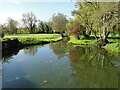 TM2956 : The millpond at Glevering watermill by Adrian S Pye