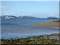 SX8957 : Torbay from Broadsands Beach by Chris Allen