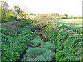 TM1763 : River Deben downstream from Cross Green Bridge by Adrian S Pye