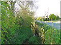 TM1762 : River Deben tributary beside the B1077, Winston Road by Adrian S Pye