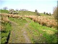 SD2786 : The Cumbria Way near Kendall Ground by Adrian Taylor