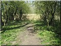 SE8842 : Southern fence across the railway embankment, Goodmanham by Christine Johnstone