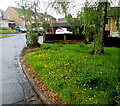 ST3090 : Buttercups on grass, Pinewood Close, Malpas, Newport by Jaggery