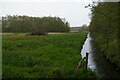 TM4466 : Drain towards Minsmere Old River, from Church Road, Theberton by Christopher Hilton