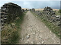 SD9613 : Climbing up towards Binns Pasture by Christine Johnstone