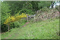 SO3506 : Gate on footpath, Usk Valley Walk by M J Roscoe