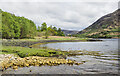 NN1561 : Northern shore of Loch Leven by Trevor Littlewood