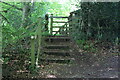 SO3507 : Steps to rear of garden fence of The Beeches by M J Roscoe