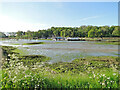 TM2547 : Boats moored at Martlesham Creek by Adrian S Pye