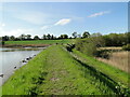 TM2941 : River Wall at Kirton Creek by Adrian S Pye