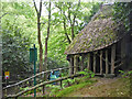 SJ5729 : Hawkstone Park - Gingerbread Hall by Chris Allen