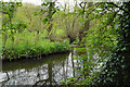 SK3562 : River Amber between Ashover and Fallgate by Bill Boaden