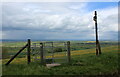 ST8951 : Wessex Ridgeway leaving Long River Road by Chris Heaton