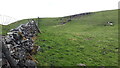 SD7985 : Limestone outcrop at Long Slack below Wold Fell by Rich Tea