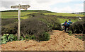 SY5287 : Path to Swyre by Derek Harper