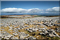 NY6409 : Limestone pavement in Great Asby Scar NNR by Andy Waddington