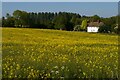 TM2459 : Looking down to Park Cottages by Christopher Hilton