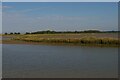 TM3957 : River Alde downstream of Snape by Christopher Hilton