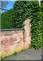 SK6917 : Brick wall on west side of Mill Lane by Phil Richards