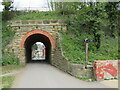 NZ8910 : Arch bridge. Whitby by Malc McDonald